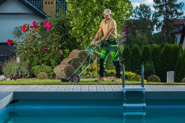 landscaper-in-his-40s-moving-natural-grass-turfs-resize.jpg